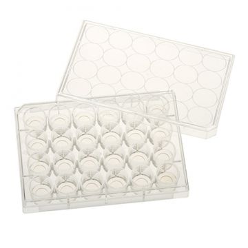 CELLTREAT glass bottom cell culture dishes and plates